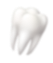 tooth