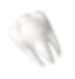 tooth